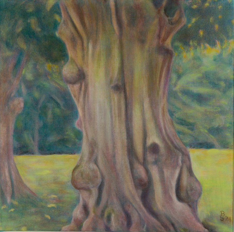 Linde bei Damekow (verkauft)