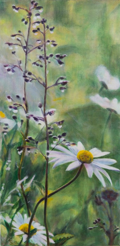 Margeriten (verkauft)