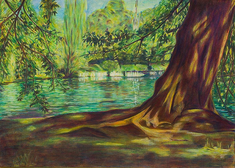 Park bei Haus der Natur (verkauft)