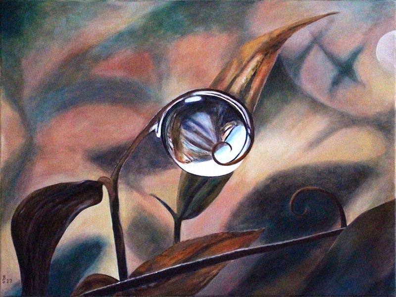 Tautropfen (Privatbesitz)